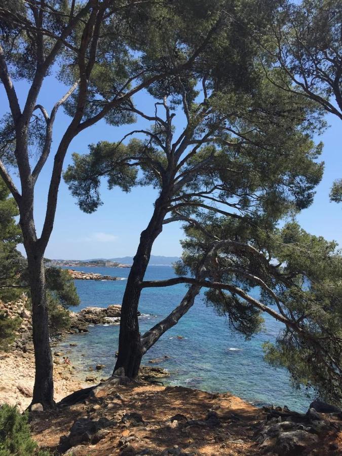 Villa Cocody Bandol Exterior foto